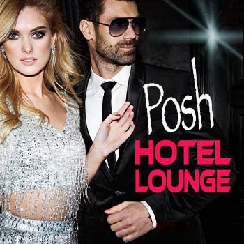 Posh Hotel Lounge