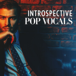 Introspective Pop Vocals