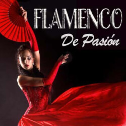 Плейлист Flamenco de Pasión